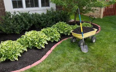 5 Steps to Being a Better Homeowner
