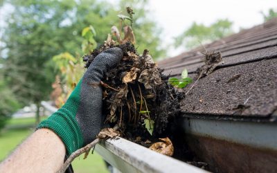 The Benefits of Clean Gutters