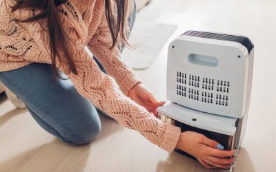 4 Ways to Improve Air Quality in Your House