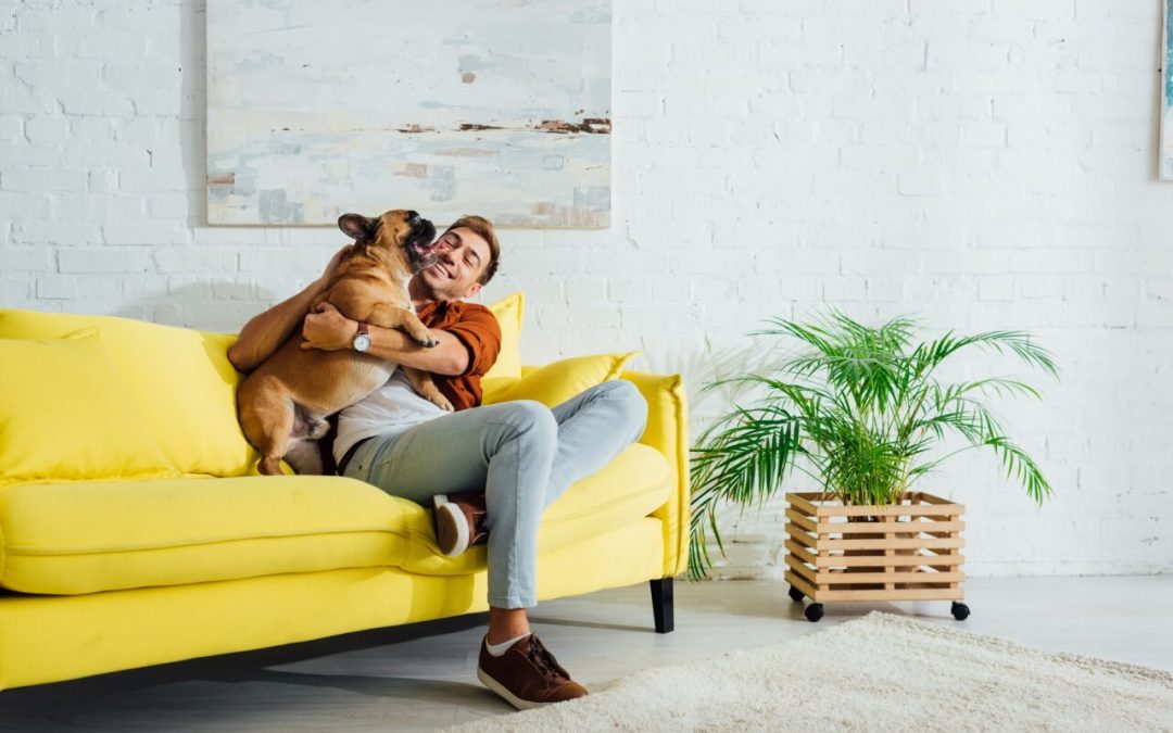5 Updates for a Pet-Friendly Home